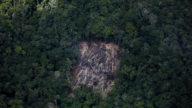 ‘Narcolavado’ amenaza Amazonía por auge de cocaína, advierte ONU