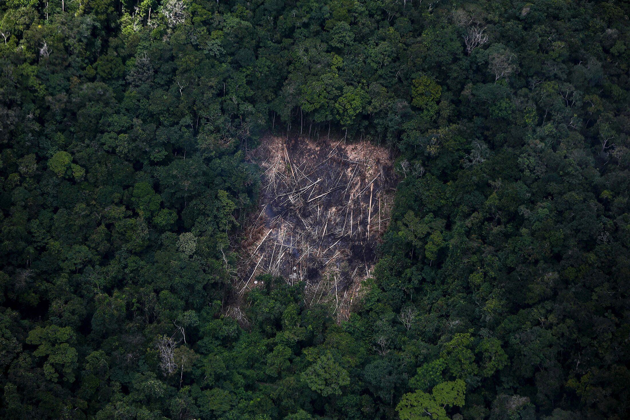 Un área deforestada de la selva amazónica en el estado de Roraima, Brasil. Fotógrafo: Michael Dantas/AFP/Getty Images