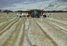 Proyecto de irrigación Iruro iniciará obras para ampliar frontera agrícola en 2024