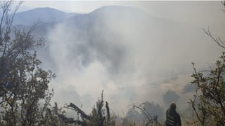 Sefor: Más del 70 % de los incendios forestales ocurrieron en la Amazonía peruana
