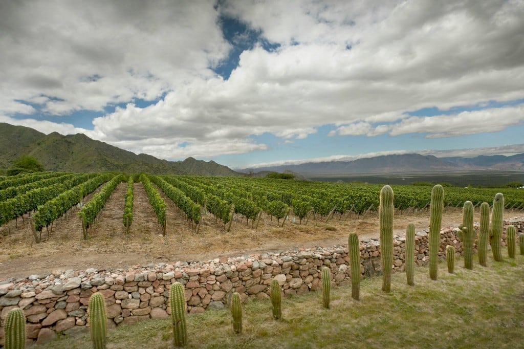La Bodega Yacochuya se asienta a más de 2.000 metros sobre el nivel del mar, siendo una de las vitiviniculturas más altas del mundo. Foto: José Bracamonte