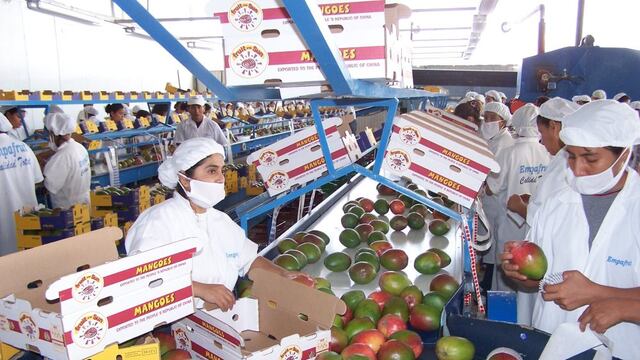 Agroexportaciones peruana llegaron a 148 países durante el último año
