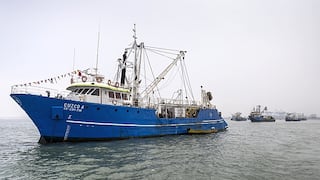 Exalmar navega sobre aguas en calma: el rumbo de la pesquera este 2025