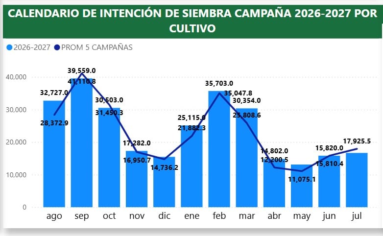 Expectativa para siembra de maíz amarillo para la campaña 2026-2027. | Fuente ENIS 2026-2027