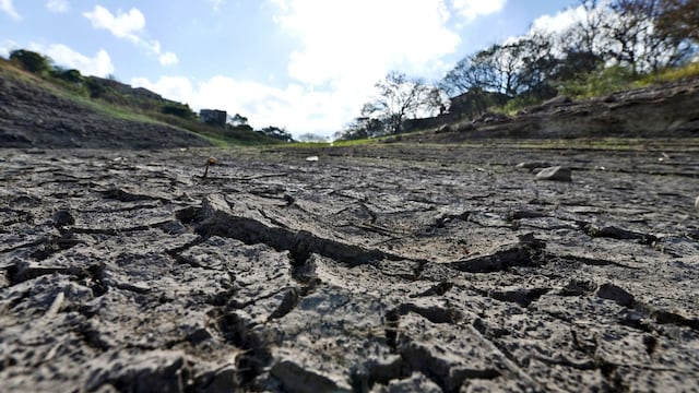 Productor de fertilizantes dice que El Niño amenaza cultivos clave