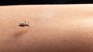 Brasil suspende vacuna del dengue por su relación con muertes y pacientes graves