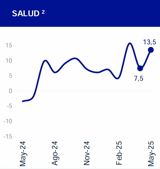 (2) Incluye gasto en hospitales y clínicas, farmacias y boticas, y otros.
Fuente: BBVA Research, mayo 2025