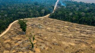 La devastación se ensaña con las ‘tierras de nadie’ de la Amazonía brasileña