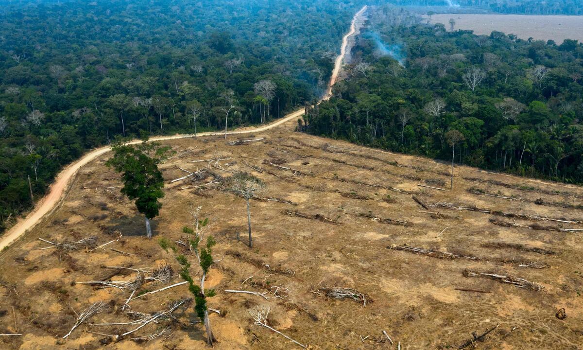 Según datos del Instituto de Investigación Ambiental de la Amazonía (IPAM), entre 1997 y el 2020, el 87% de la deforestación amazónica en suelo público tuvo lugar en áreas ‘no destinadas’, gran parte en tierras invadidas y registradas de forma fraudulenta como privadas. (Imagen referencial: AFP).