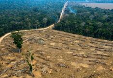 Davos pide la explotación sostenible de la Amazonía para que la deforestación deje de ser rentable