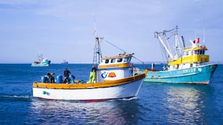 Produce: Esta semana se conocerá la cuota para la primera temporada de pesca de anchoveta