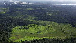 ONG dice préstamos del Banco Mundial a Perú alientan destrucción del Amazonas
