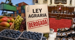 Ley Agraria: Congreso quiere eliminar beneficios tributarios, el escenario para agroexportación