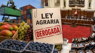 Ley Agraria: Congreso quiere eliminar beneficios tributarios, el escenario para agroexportación