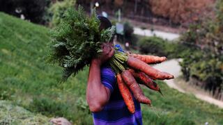 OCDE y FAO auguran alimentos más baratos y más producción en diez años