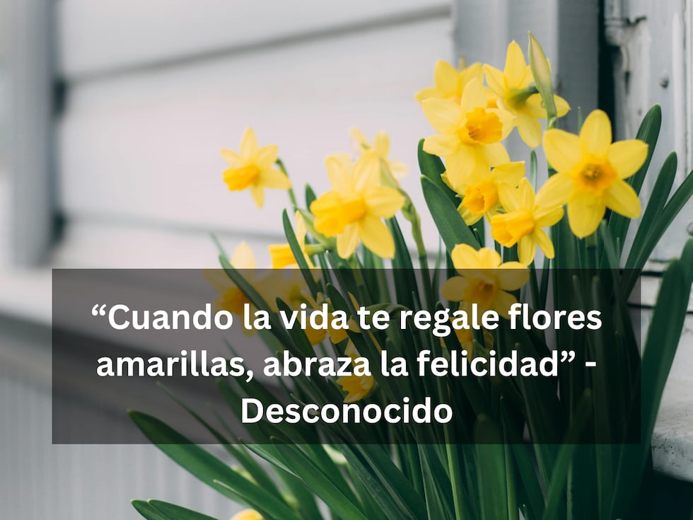 “Cuando la vida te regale flores amarillas, abraza la felicidad” - Desconocido | Foto de Maria Tyutina en Pexels / Composición Mix