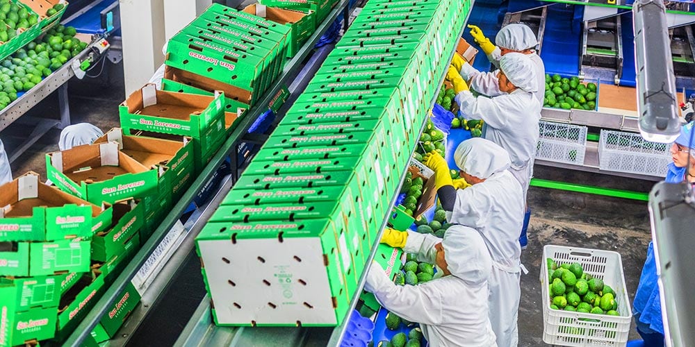 En el 2020, Agrokasa anunció que invertiría US$ 20 millones en la construcción de una planta de tratamiento de aguas residuales en Ica.