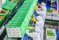 Agroexportadoras: buscan desde el Congreso retirar beneficios tributarios