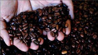 Venta de cafés tostados especiales aumenta por incremento de 170% en consumo local