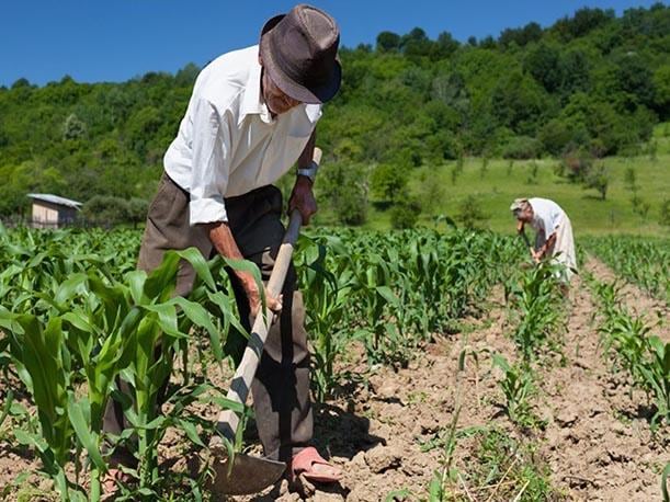 La creciente importancia de estos sectores intermedios y minoristas en el sector agro y, en particular, en el agroalimentario, es una tendencia global que se acelera a medida que los países progresan. (Foto: Andina/Referencial)