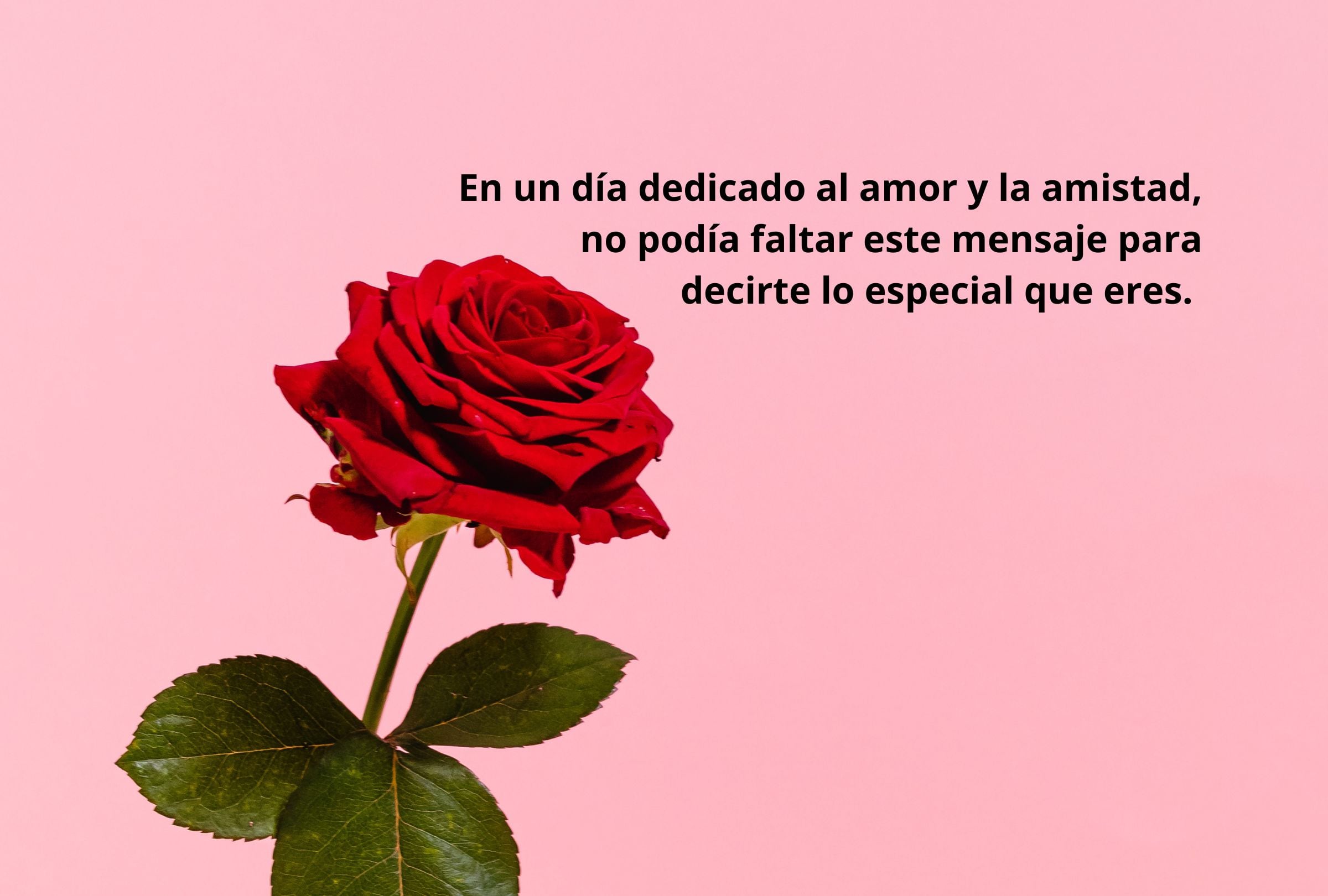 En un día dedicado al amor y la amistad, no podía faltar este mensaje para decirte lo especial que eres. (Foto: Composición Mag)