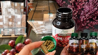 Maca en China: el siguiente paso de Amazon Andes en el gigante asiático