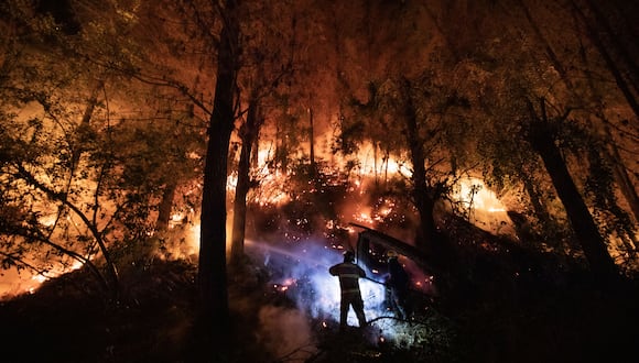 Unas 10 personas habrían fallecido por los incendios en Chile. (Foto: Felipe Ignacio González).