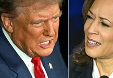 Inmigrantes sin papeles, ¿pueden votar en las elecciones 2024?