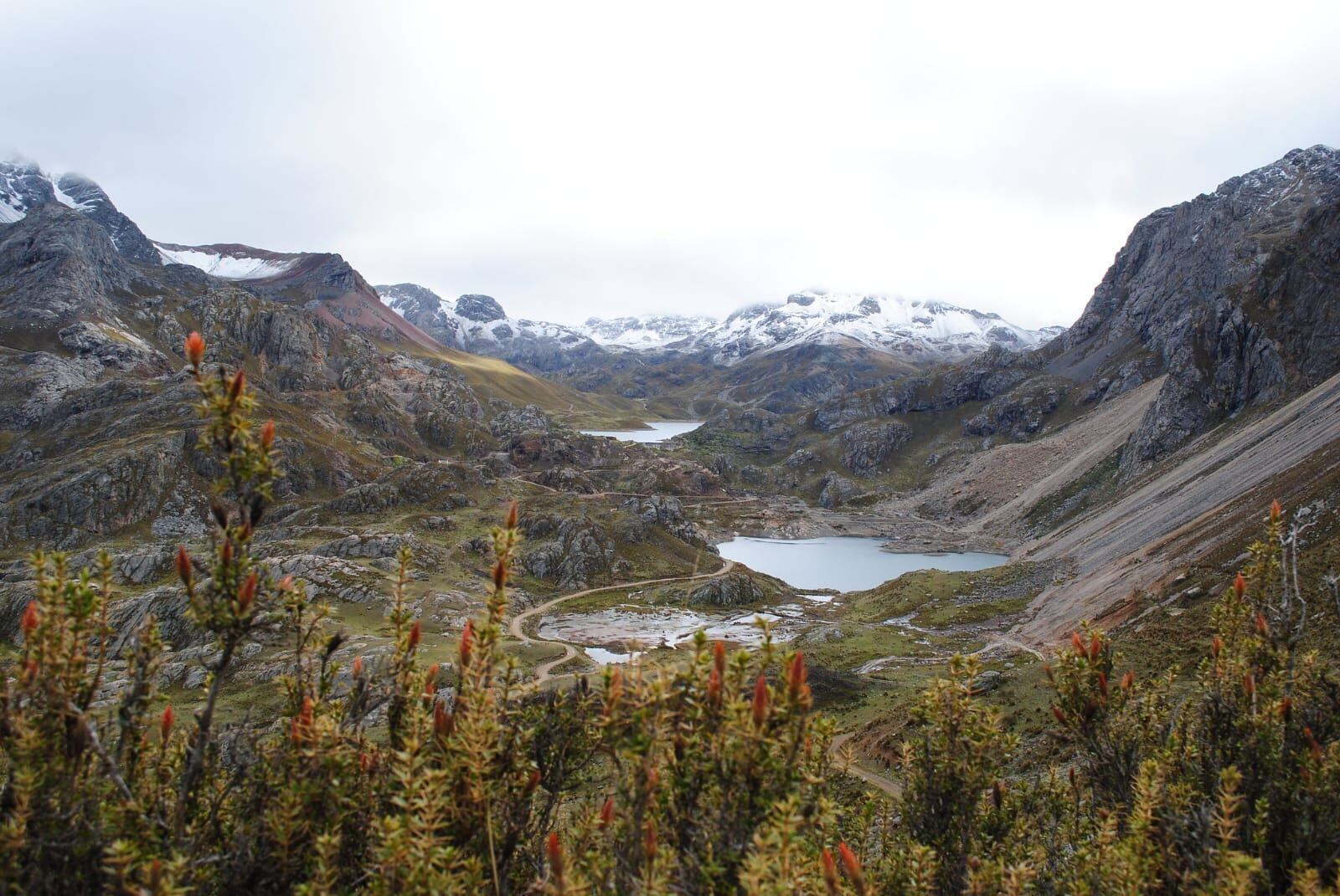 Los ecosistemas por recuperar son los bosques relictos, matorral andino, y pajonal de puna, en un área total de alrededor de 3,000 hectáreas. (Foto: GEC)