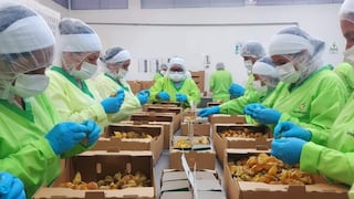 AgroAndino y un cambio de modelo de negocio: nuevo cultivo y más mercados