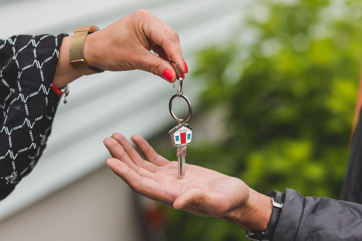 Revisa el programa más adecuado con tu perfil (Foto: Pexels).