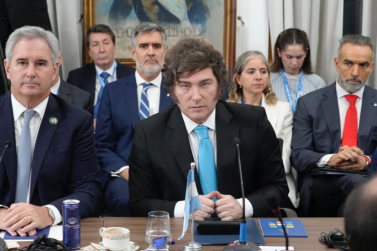 " Se dedica demasiada energía a perseguir a las grandes empresas que operan en mercados disputables y muy poca a abordar las numerosas regulaciones que restringen la competencia", señala Javier Milei en su artículo para The Economist // Foto: Presidencia argentina / AFP