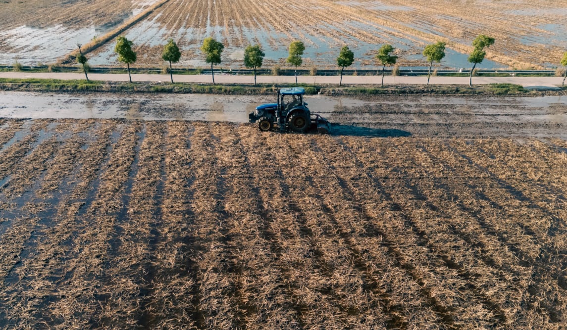Un tractor ara un campo de arroz en Hangzhou, Zhejiang. (Foto: Pexels)