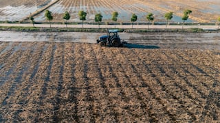 El modelo chino de agricultura inteligente: la posibilidad de Perú para seguir el ritmo