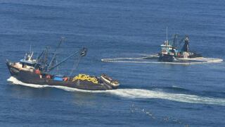 Pesca de anchoveta quedará suspendida desde mañana en diversas zonas del mar peruano