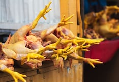 ¿Gripe aviar “empujará” el precio del pollo? Así funciona el mercado avícola de Perú