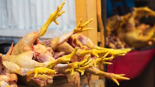 ¿Gripe aviar “empujará” el precio del pollo? Así funciona el mercado avícola de Perú