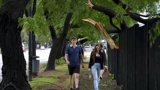 Milei y ministros se trasladan hasta zona afectada por temporal en Argentina