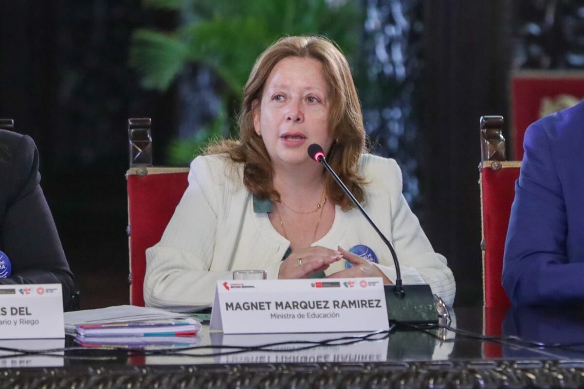 La ministra de Educación reafirmó que no hay privatización de la educación en el Perú y garantiza gratuidad de la enseñanza pública Foto: Minedu