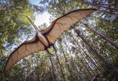 Cuando los primeros dinosaurios de sangre caliente habitaban la Tierra