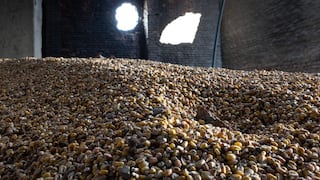 La compleja operación para sacar los cereales de Ucrania