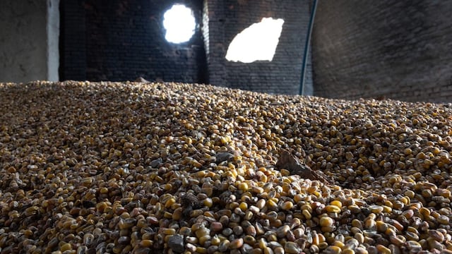 Ucrania espera reanudar exportaciones de grano “esta semana” pese a ataque ruso en puerto de Odesa