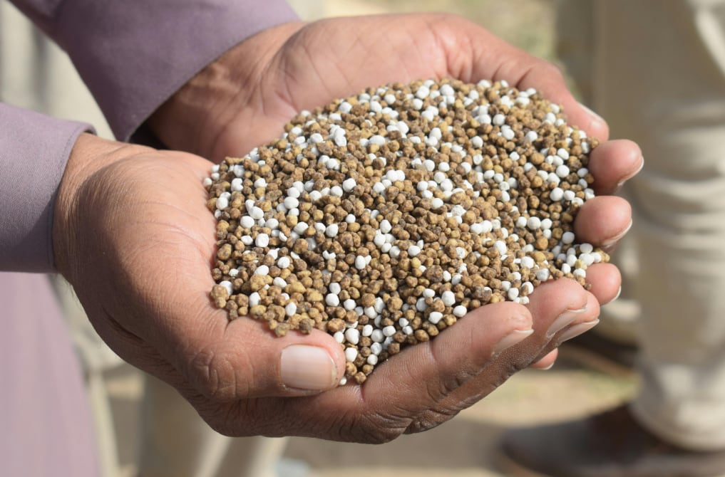 ¿Qué insumos agrícolas son recurrentes en los cultivos peruanos? (Foto: Pexels)