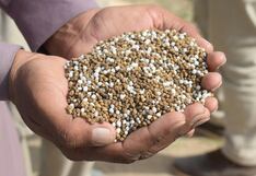 Volumen crece, pero precio cae: importación de insumos agrícolas registra “descenso”