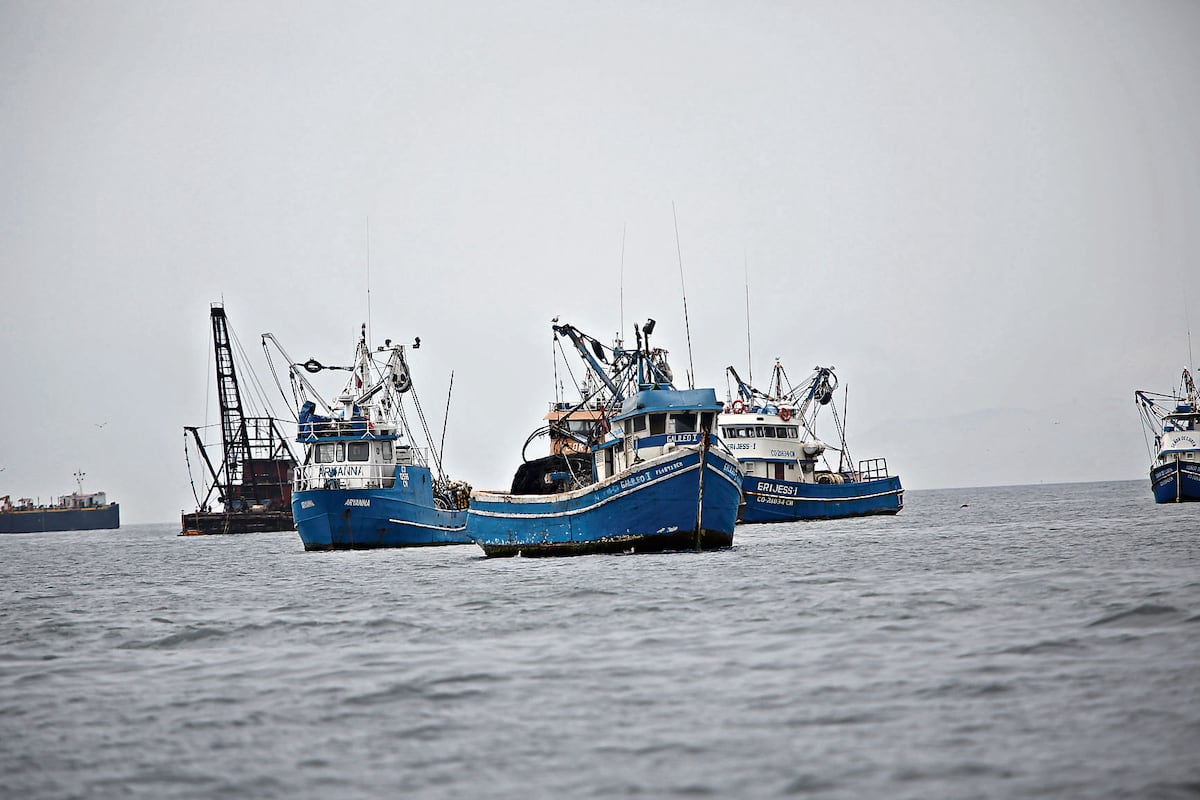 La empresa grande puede cubrirse, financiarse y esperar; el pescador con una sola lancha no resiste la pérdida de una temporada. (Foto: GEC)