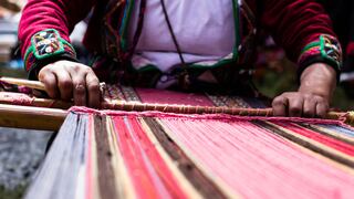 Producción de fibra de alpaca en zonas altoandinas, una oportunidad para jóvenes con talento ‘tech’