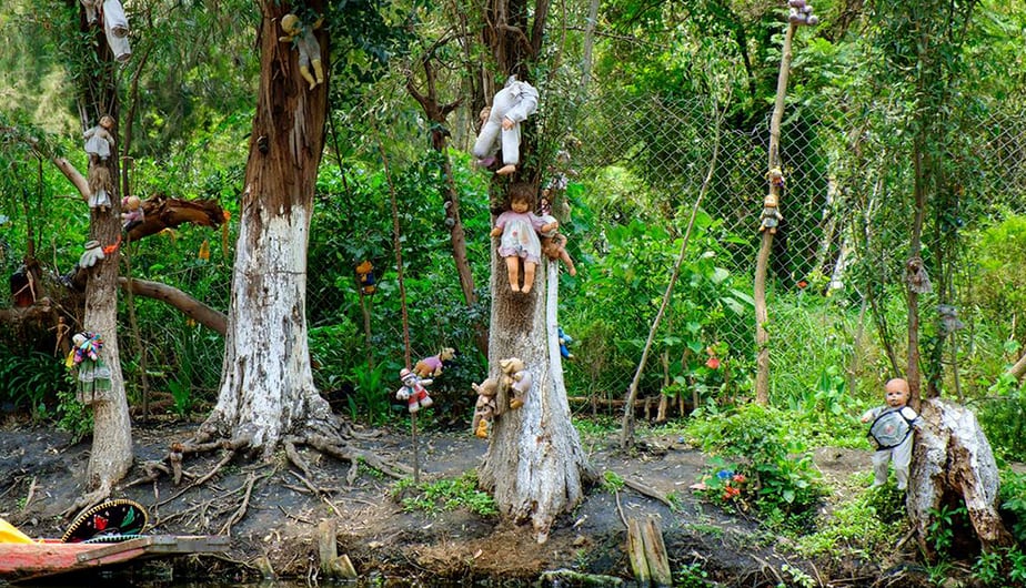 El bosque Aokigahara, ubicado en la falda del monte Fuji, es conocido mundialmente como el bosque de los suicidios. (Fuente A.B.C)