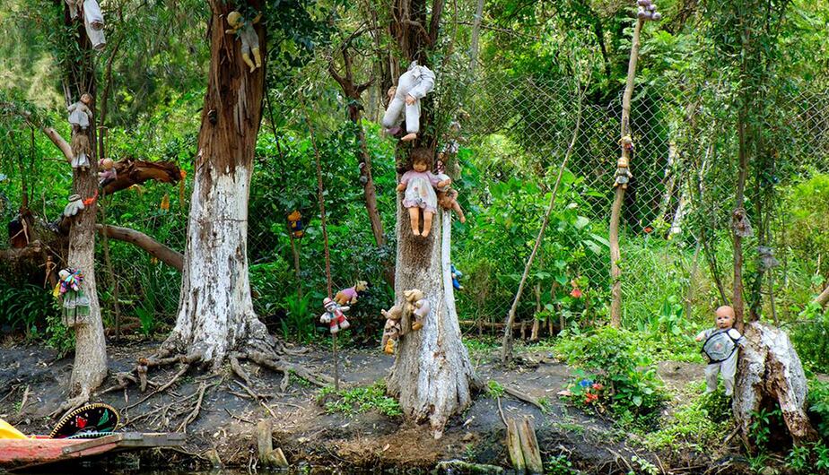 El bosque Aokigahara, ubicado en la falda del monte Fuji, es conocido mundialmente como el bosque de los suicidios. (Fuente A.B.C)