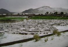 Heladas impactan en cultivos y ganado de ocho regiones: ¿cuáles son?