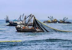 Produce fija cuota de captura de pulpo: ¿a cuántos asciende y en qué zona?